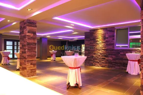 pierre décorative extérieur&intérieur