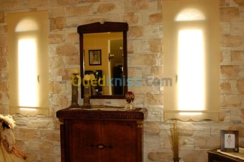 pierre décorative extérieur&intérieur