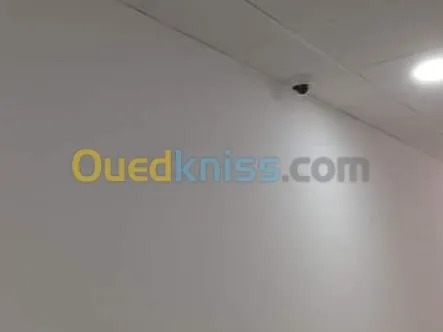 Camera de surveillance et système d'al