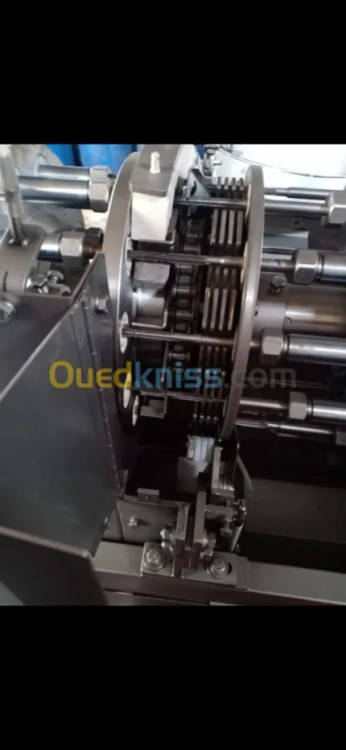 machine a denoyautées les olive 