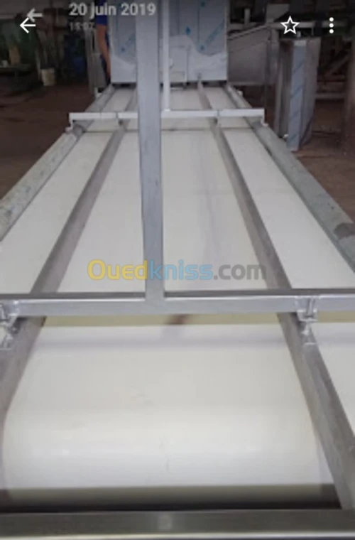 machine a denoyautées les olive 