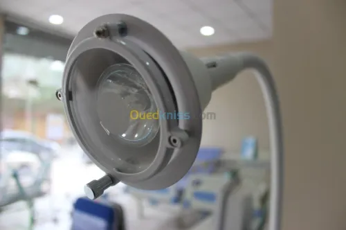 LAMPE POLYVALENTE AVEC AMPOULE HALOGÉN