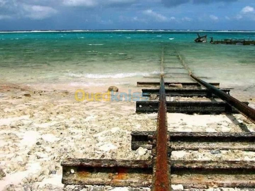 Vente Villa Msila Ain el hadjel
