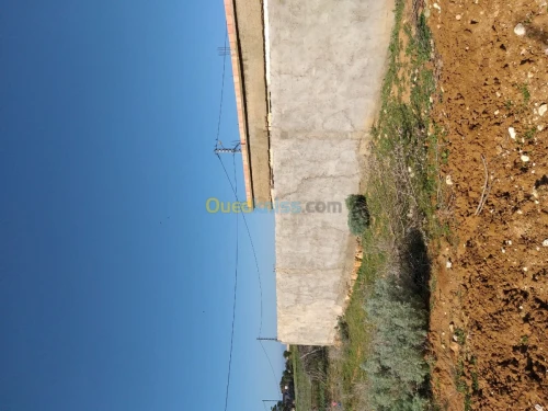 Vente Terrain Mostaganem Hadjadj