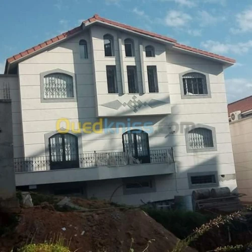 decoration des facade monocouche