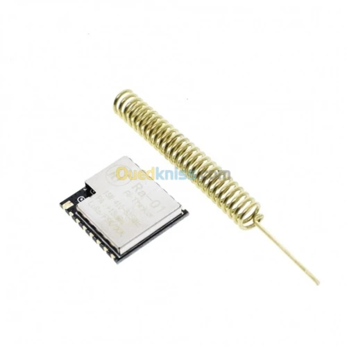 Module de Transmission  LoRa  ARDUINO
