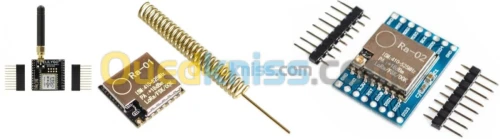 Module de Transmission  LoRa  ARDUINO