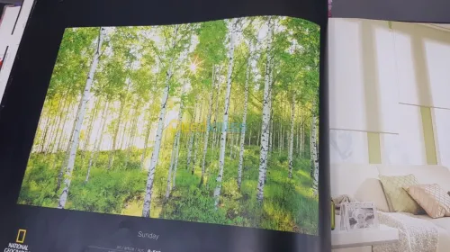 Des poster 3D Germany 