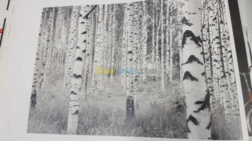 Des poster 3D Germany 