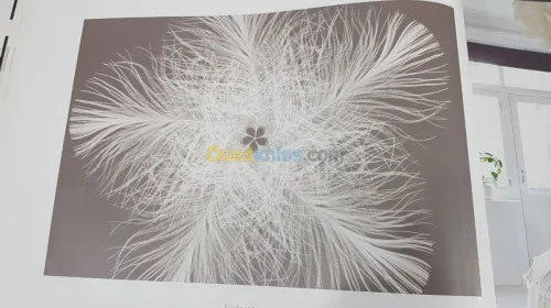 Des poster 3D Germany 