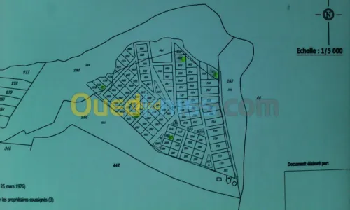 Vente Terrain Tizi ouzou Azazga