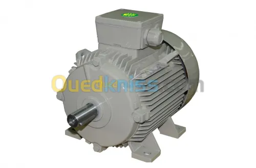 Moteur électrique SIEMENS - ENEL AZAZGA