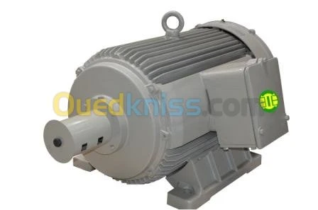 Moteur électrique SIEMENS - ENEL AZAZGA