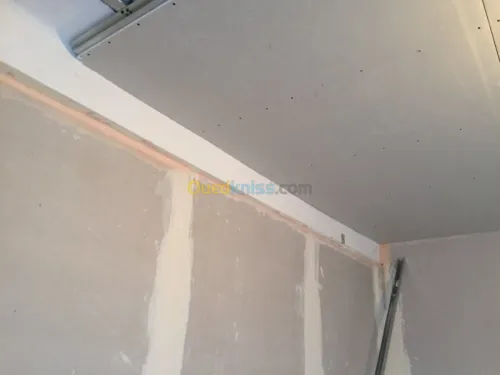 Ba13