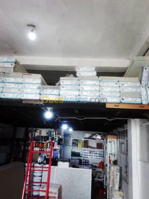 Vente et pose faux plafond en placo 