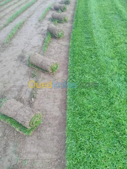 aménagement espace vert jardinage 