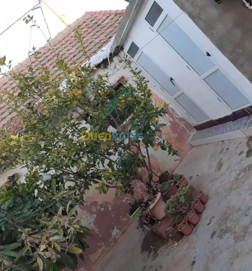 Vente bien immobilier Sidi Bel Abbès Lamtar