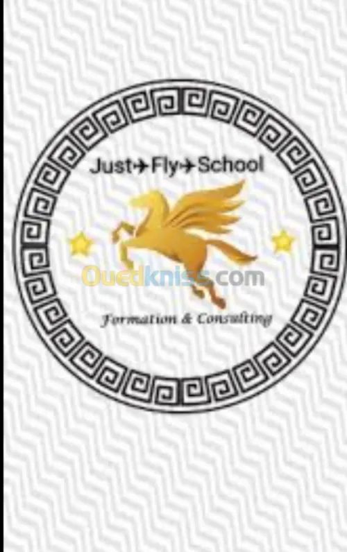 Consulting &training 