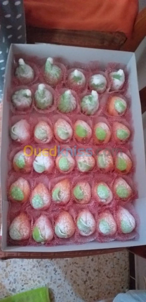Gateaux  orientaux