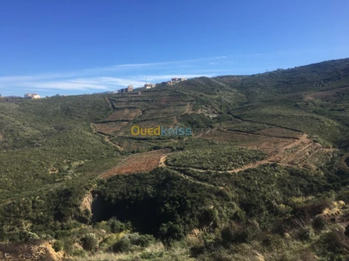 Vente Villa Tizi Ouzou Azeffoun