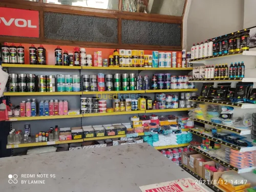 Peinture auto industrielle et detaillig