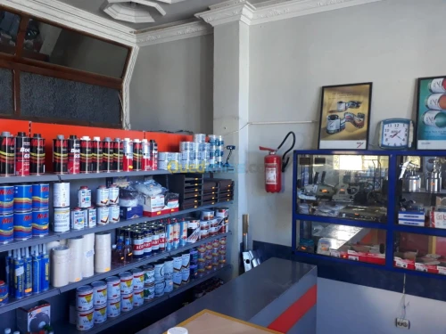 Peinture auto industrielle et detaillig