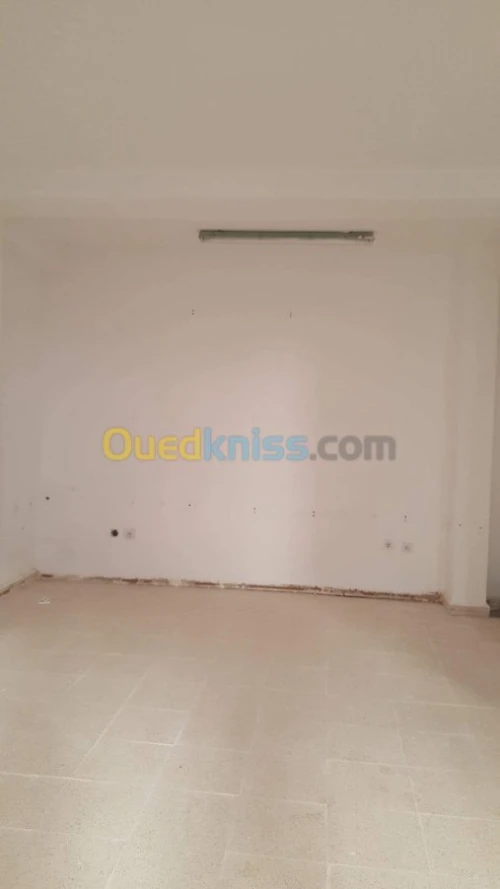 Location Local Alger El achour