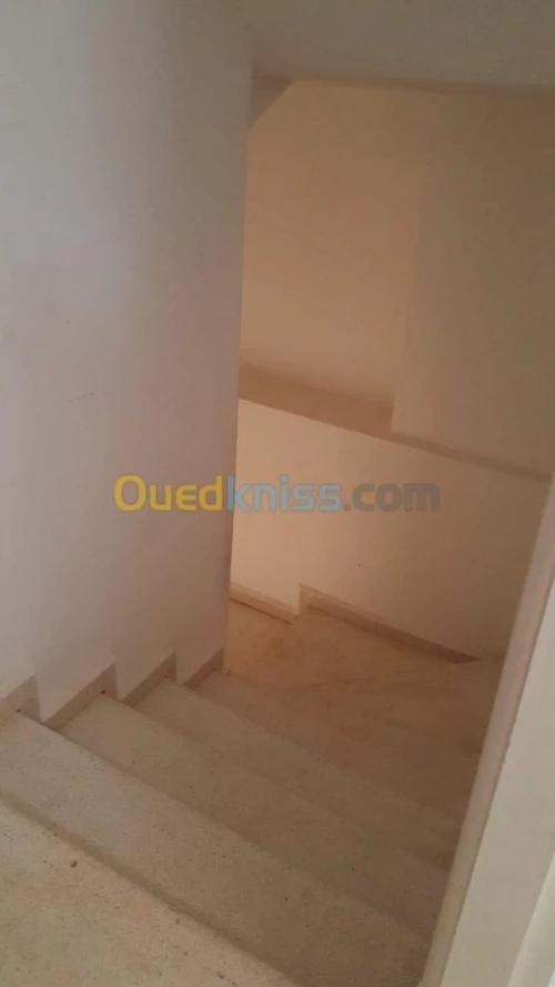 Location Local Alger El achour