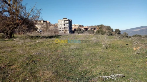 Vente Terrain Medea Medea
