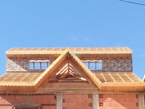Charpente en bois et plafond 