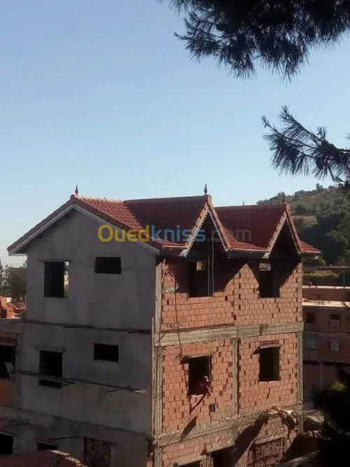 Charpente en bois et plafond 