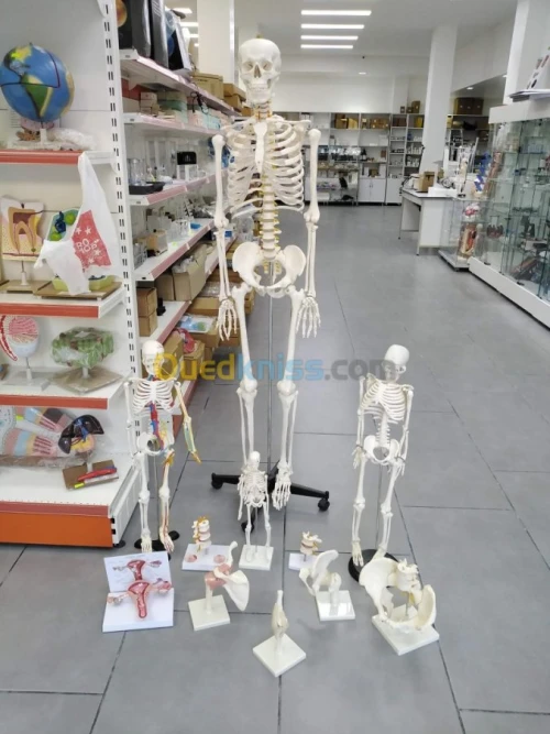 Manquin de soins et secourisme 