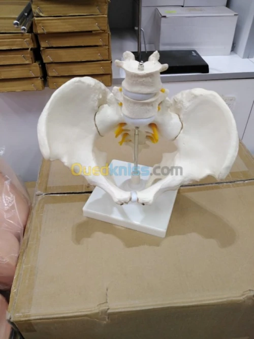 Manquin de soins et secourisme 