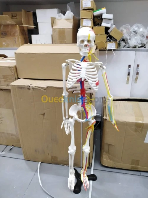 Manquin de soins et secourisme 