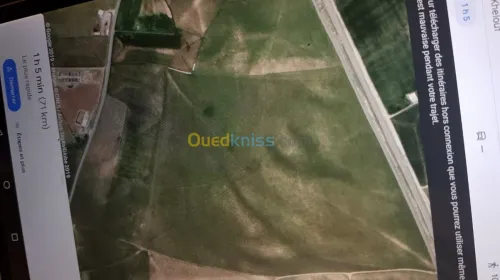 Vente Terrain Mila Chelghoum laid