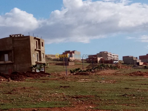 Vente Terrain Mostaganem Hassi maameche