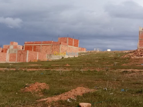 Vente Terrain Mostaganem Hassi maameche