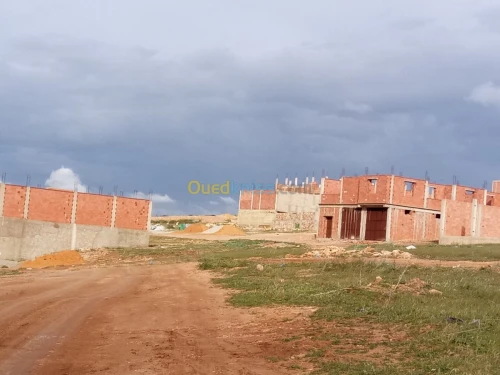 Vente Terrain Mostaganem Hassi maameche