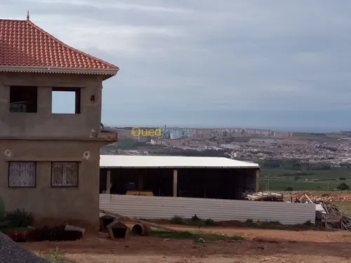 Vente Terrain Mostaganem Hassi maameche
