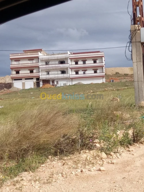 Vente Terrain Mostaganem Hassi maameche