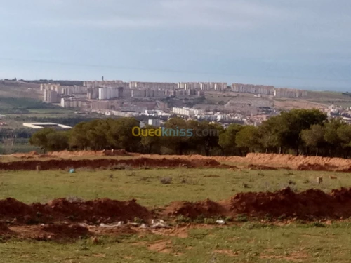 Vente Terrain Mostaganem Hassi maameche