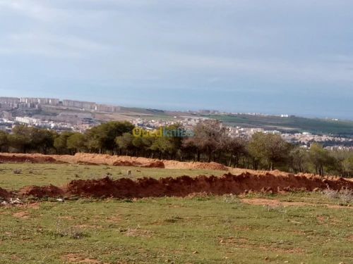 Vente Terrain Mostaganem Hassi maameche