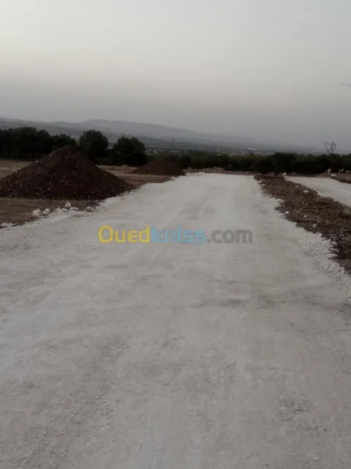 Vente Terrain Mostaganem Hassi maameche