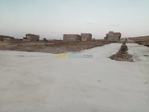 Vente Terrain Mostaganem Hassi maameche