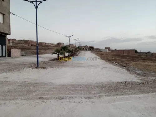 Vente Terrain Mostaganem Hassi maameche