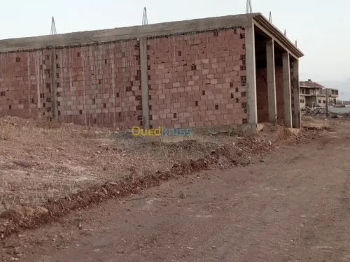 Vente Terrain Mostaganem Hassi maameche