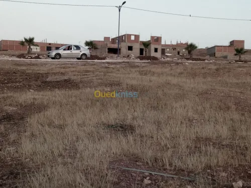 Vente Terrain Mostaganem Hassi maameche
