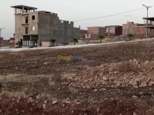 Vente Terrain Mostaganem Hassi maameche