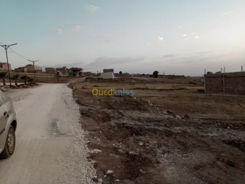 Vente Terrain Mostaganem Hassi maameche