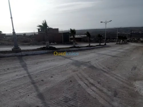 Vente Terrain Mostaganem Hassi maameche